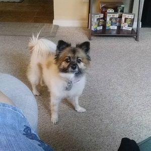 Meet your Posher, Debbie